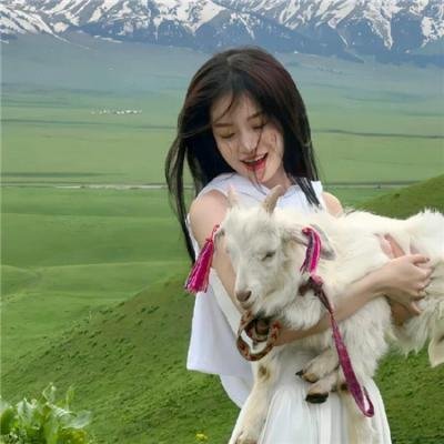 狗尾巴草也是花