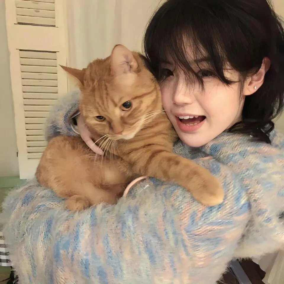 铁血证据